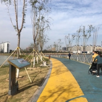 柘城容湖國家濕地公園，深秋美如畫