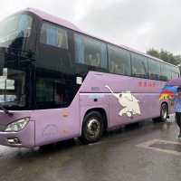 受強(qiáng)降雨影響 鄭州各汽車站今日停發(fā)697個班次