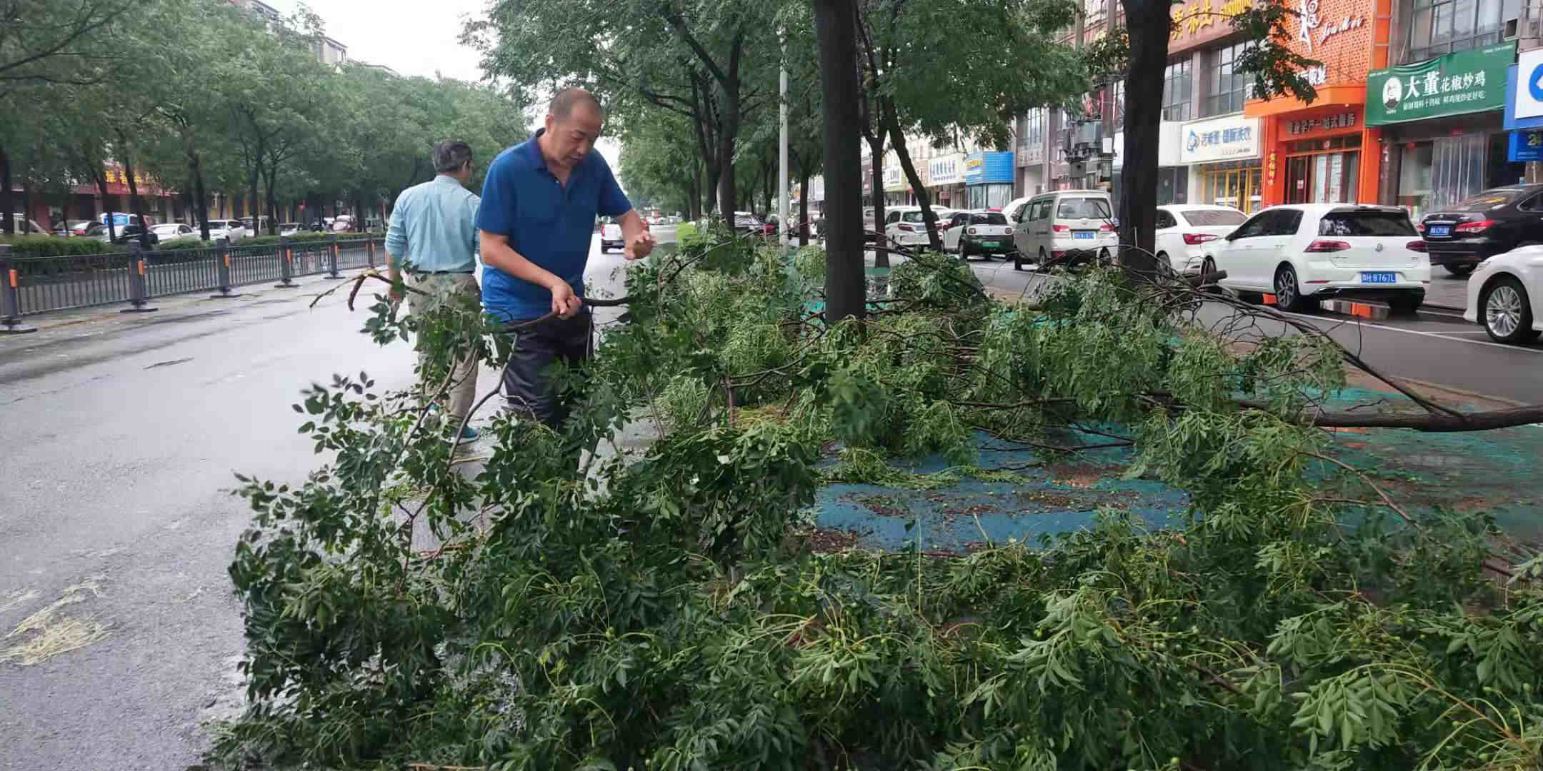 黨員突擊隊(duì)清理道路上損毀樹木.jpg