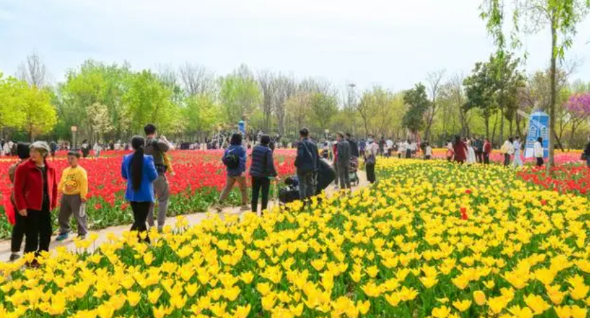 鄭州市綠博園免費入園？官方回應(yīng)來了