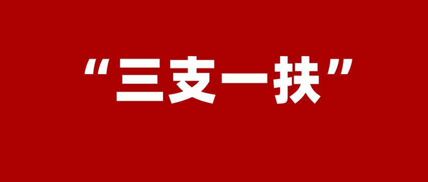 如何報考？待遇如何？2024年“三支一扶”計劃解讀