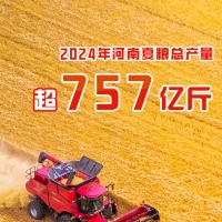 2024年河南夏糧總產(chǎn)量超757億斤 實現(xiàn)增產(chǎn)豐收