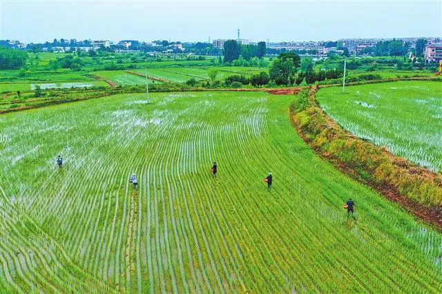 明確“十不準(zhǔn)”“十個(gè)嚴(yán)禁” 我省發(fā)布耕地保護(hù)監(jiān)督新規(guī)