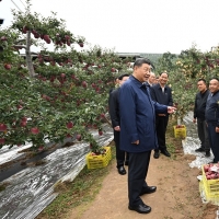 習近平在甘肅考察時強調(diào)  深化改革勇于創(chuàng)新苦干實干富民興隴  奮力譜寫中國式現(xiàn)代化甘肅篇章  途中在陜西寶雞考察